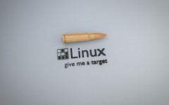 Linux (11)